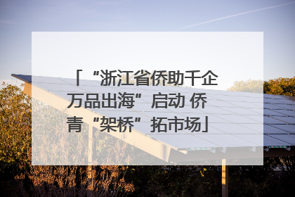 “浙江省侨助千企万品出海”启动 侨青“架桥”拓市场